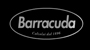 Barracuda